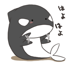 Of killer whales, Shatchi 2 sticker #11072774