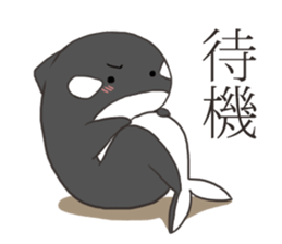 Of killer whales, Shatchi 2 sticker #11072775