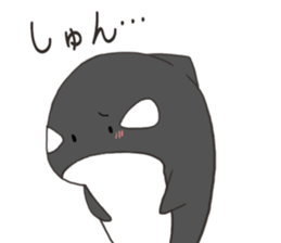Of killer whales, Shatchi 2 sticker #11072778