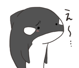 Of killer whales, Shatchi 2 sticker #11072781