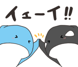 Of killer whales, Shatchi 2 sticker #11072784