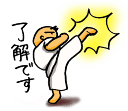 KARATE BOY LIFE sticker #11074304