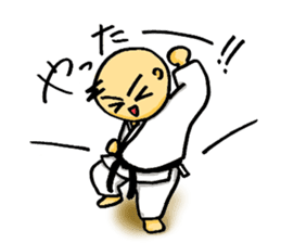 KARATE BOY LIFE sticker #11074307