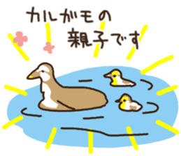 kuma usagi news sticker #11075252