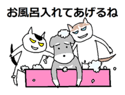 Cute?Japanese kitten sticker #11075617