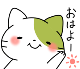 Matcha color cat sticker #11078072