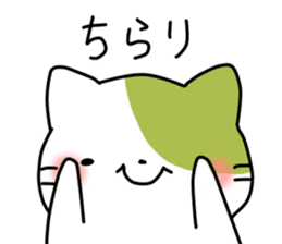 Matcha color cat sticker #11078081