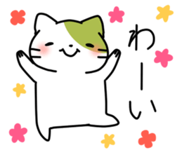 Matcha color cat sticker #11078085