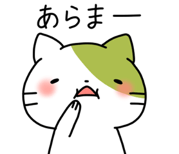 Matcha color cat sticker #11078091