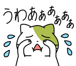 Matcha color cat sticker #11078094