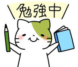 Matcha color cat sticker #11078099