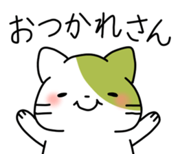 Matcha color cat sticker #11078101
