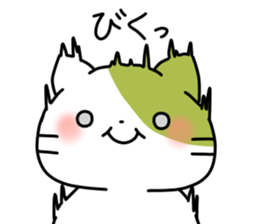 Matcha color cat sticker #11078109