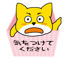 Near the box sticker #11080073