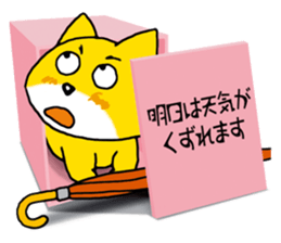 Near the box sticker #11080074