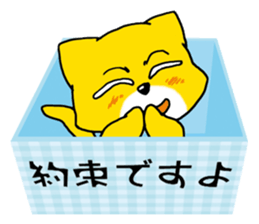 Near the box sticker #11080078