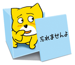 Near the box sticker #11080079