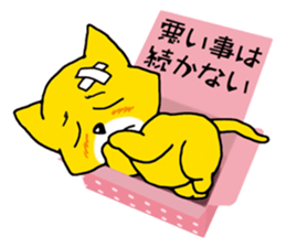 Near the box sticker #11080087