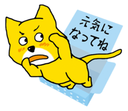 Near the box sticker #11080088