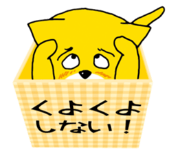 Near the box sticker #11080089