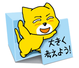 Near the box sticker #11080090