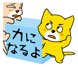 Near the box sticker #11080091