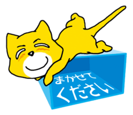 Near the box sticker #11080092