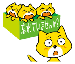 Near the box sticker #11080093