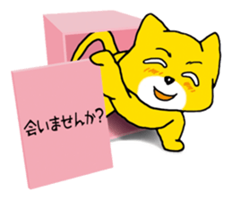 Near the box sticker #11080096