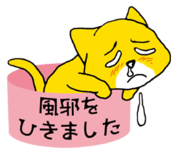 Near the box sticker #11080097