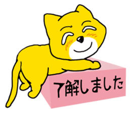 Near the box sticker #11080098