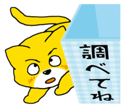 Near the box sticker #11080103