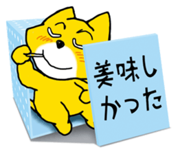 Near the box sticker #11080106