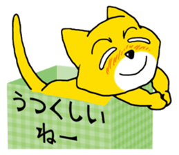 Near the box sticker #11080107