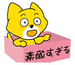 Near the box sticker #11080109