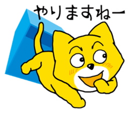 Near the box sticker #11080110