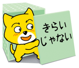 Near the box sticker #11080111