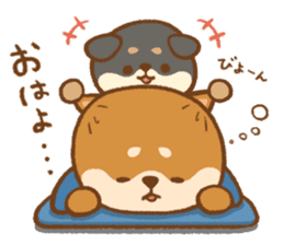 Shiba Inu(mametan) sticker #11080153