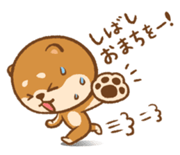 Shiba Inu(mametan) sticker #11080170