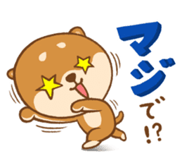 Shiba Inu(mametan) sticker #11080172