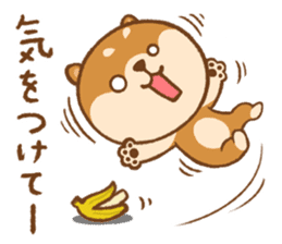 Shiba Inu(mametan) sticker #11080185