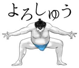 The Sumo Wrestlers sticker #11082238