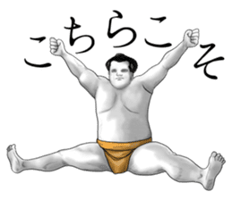 The Sumo Wrestlers sticker #11082239