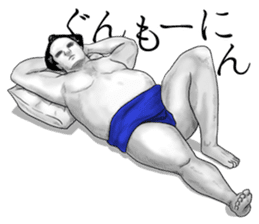 The Sumo Wrestlers sticker #11082240