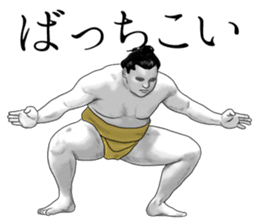 The Sumo Wrestlers sticker #11082247