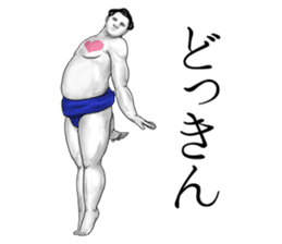 The Sumo Wrestlers sticker #11082250