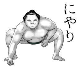 The Sumo Wrestlers sticker #11082251