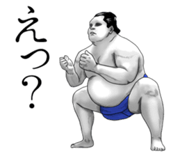 The Sumo Wrestlers sticker #11082253