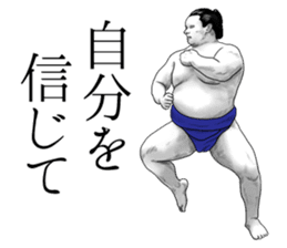 The Sumo Wrestlers sticker #11082258
