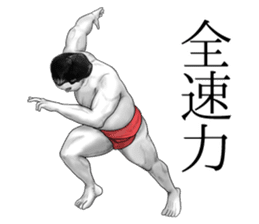 The Sumo Wrestlers sticker #11082264